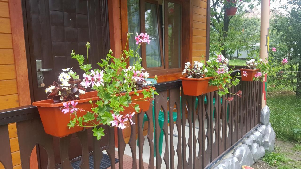 Садиба Гуцулка Ксеня Yaremtche Extérieur photo